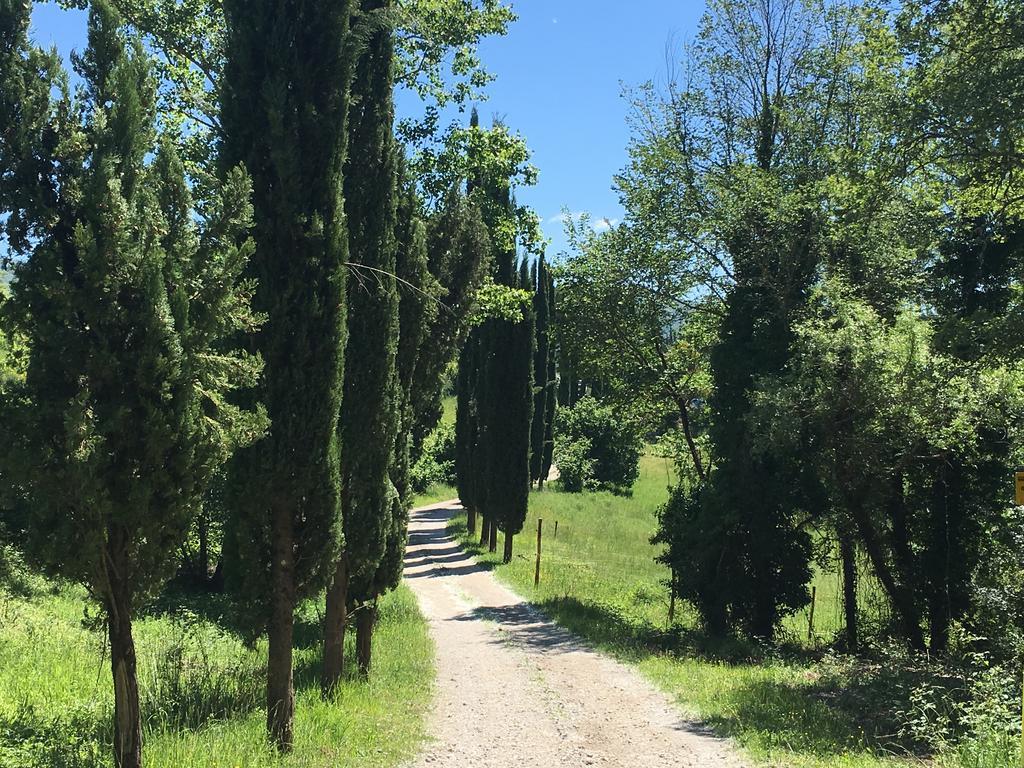 Podere Terreno Alla Via Della Volpaia Radda in Chianti Bagian luar foto