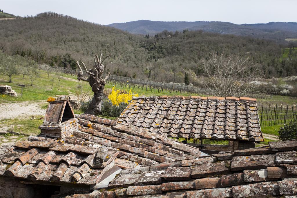 Podere Terreno Alla Via Della Volpaia Radda in Chianti Bagian luar foto