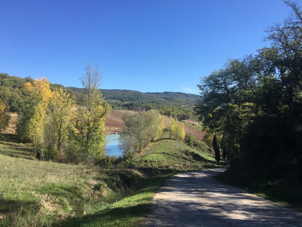 Podere Terreno Alla Via Della Volpaia Radda in Chianti Bagian luar foto