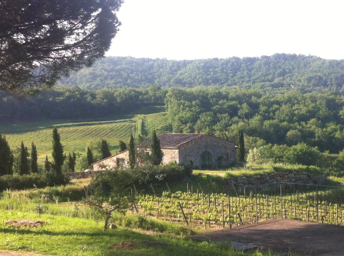 Podere Terreno Alla Via Della Volpaia Radda in Chianti Bagian luar foto