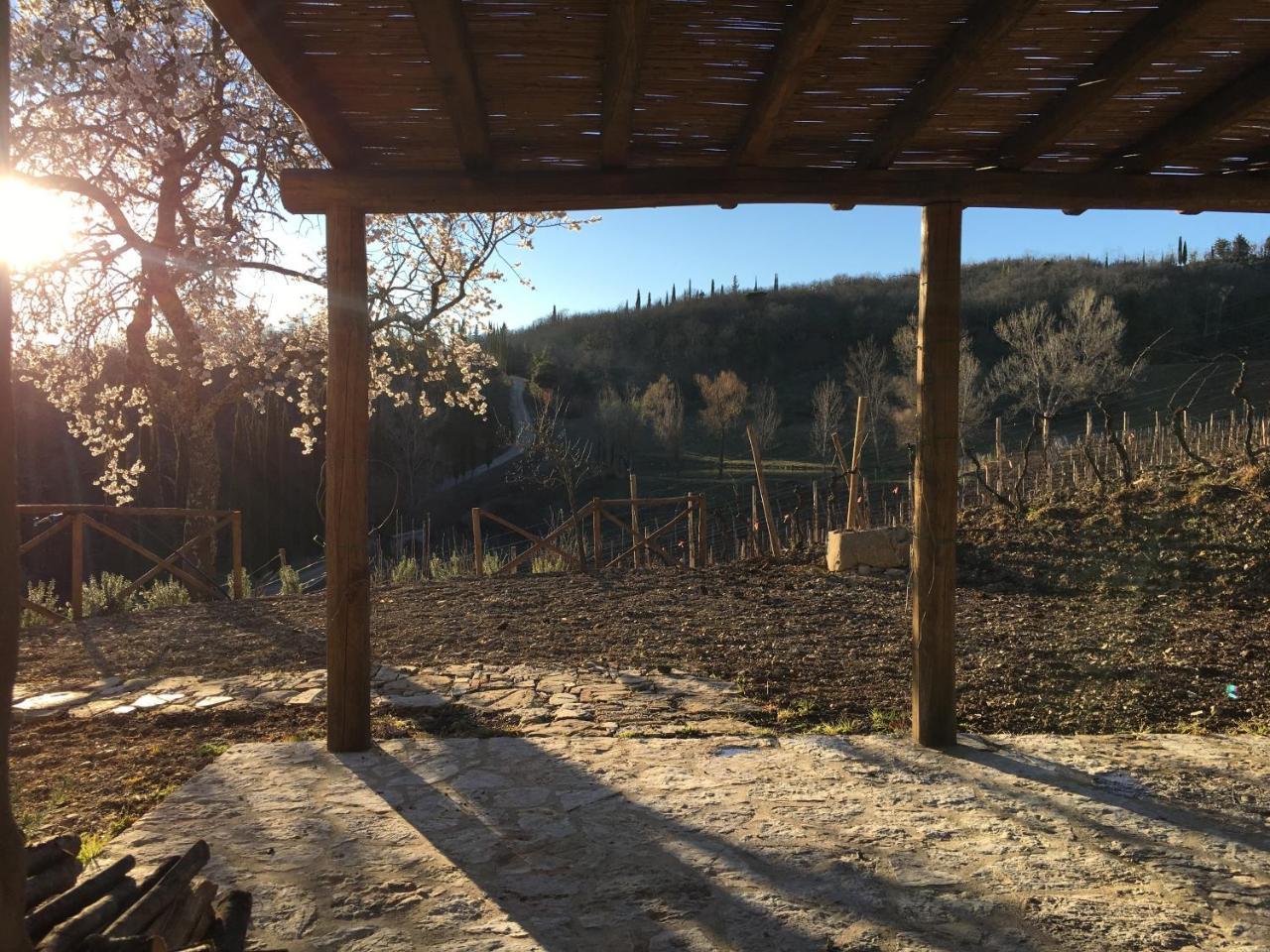 Podere Terreno Alla Via Della Volpaia Radda in Chianti Bagian luar foto